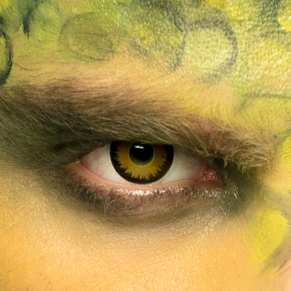 Paar 3-maandslenzen Dinosaurus