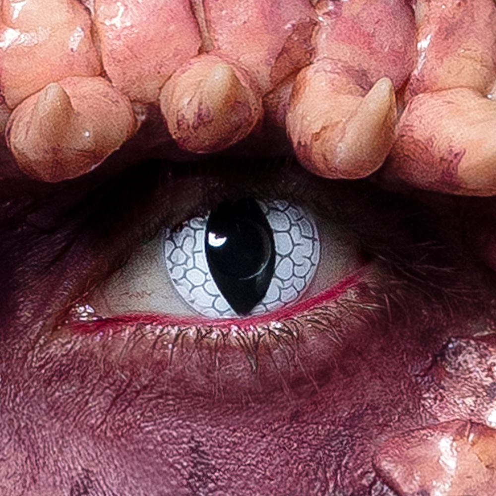 Paar weeklenzen Dragon