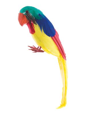 Papegaai 30 cm