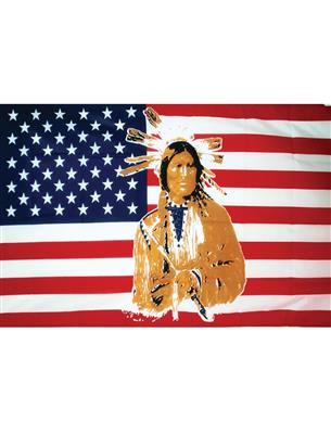 Vlag 90 x 150 cm Native USA