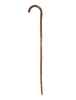 Wandelstok Bruin