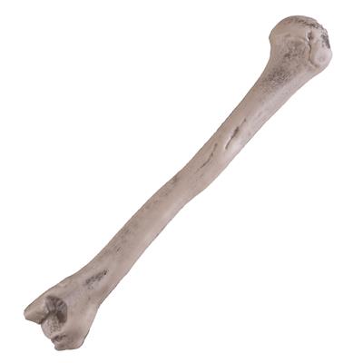 Bot 27 cm