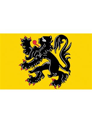 Vlag 150x90 cm Vlaamse Leeuw