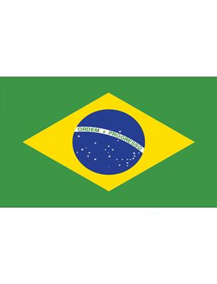 Vlag 150x90 cm Brazilië