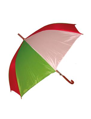 Paraplu rood wit groen