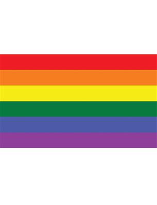 Vlag 150x90 cm Regenboog