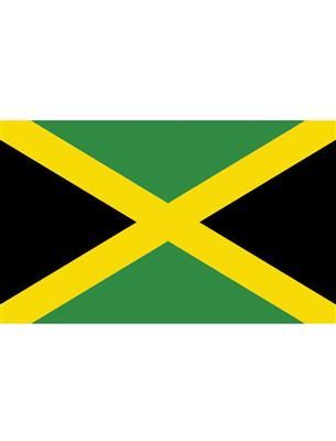 Vlag 150x90 cm Jamaica