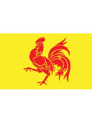 Vlag 150x90 cm Waalse Haan