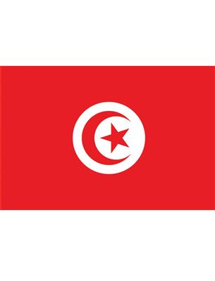Vlag 150 x 90 cm Tunesië
