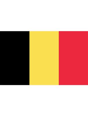 Vlag 150x300 cm België