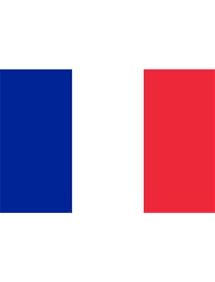 Vlag XL Frankrijk 436x350 cm