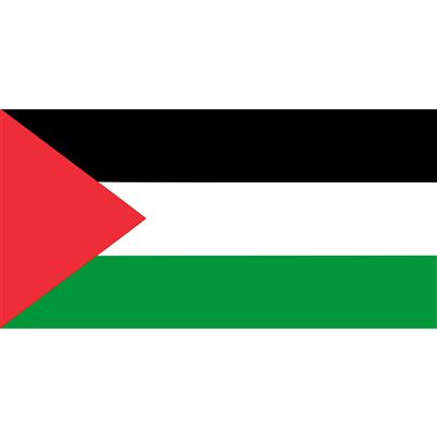 Vlag 150x90 cm Palestina