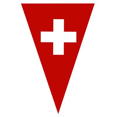 Vlaggenlijn 5m 10 vlaggen Zwitserland