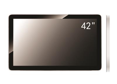 Hangend Videoscherm 42'