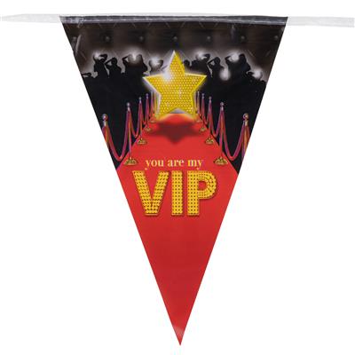 Vlaggenlijn 5m 10 vlaggen VIP
