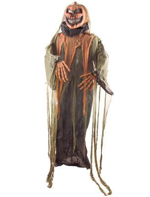 Pompoen 180 cm