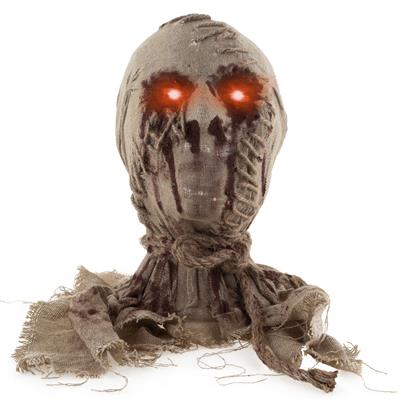 Mummie hoofd L