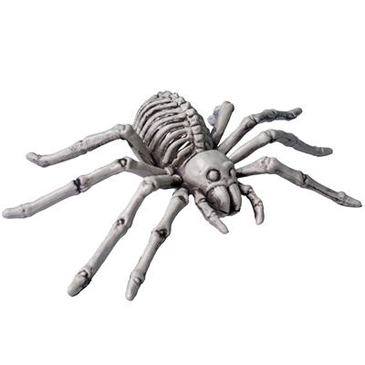 Spin skelet