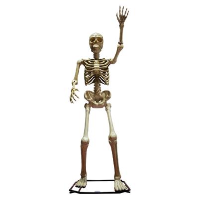 Skelet 335 cm
