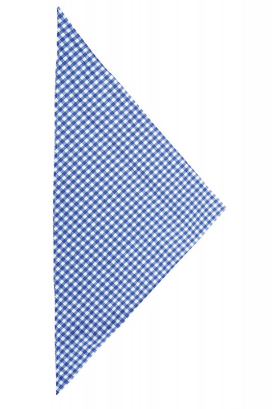 Zakdoek blauw/wit geblokt 62 x 44 x