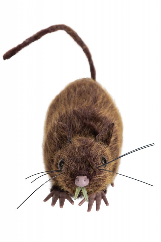 Zittende rat 15 cm
