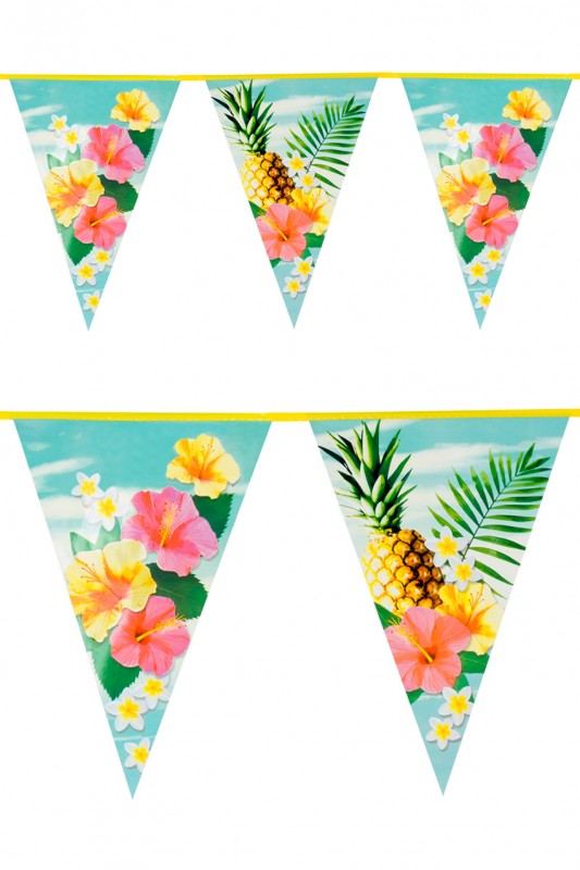 Vlaggenlijn  Hawaii 6 meter