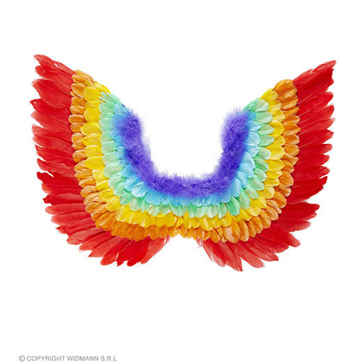 veren vleugels, regenboog