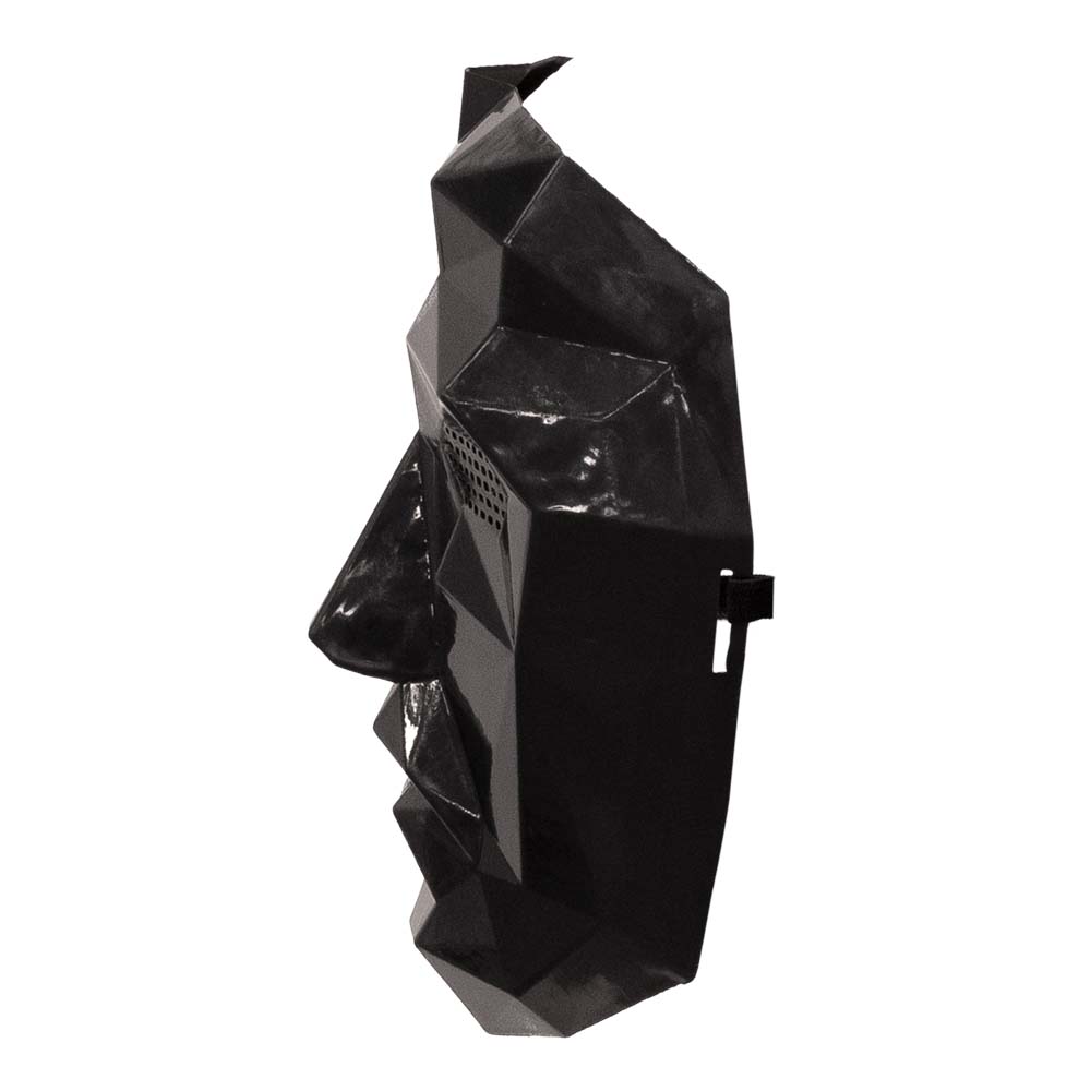 Gezichtsmasker leider