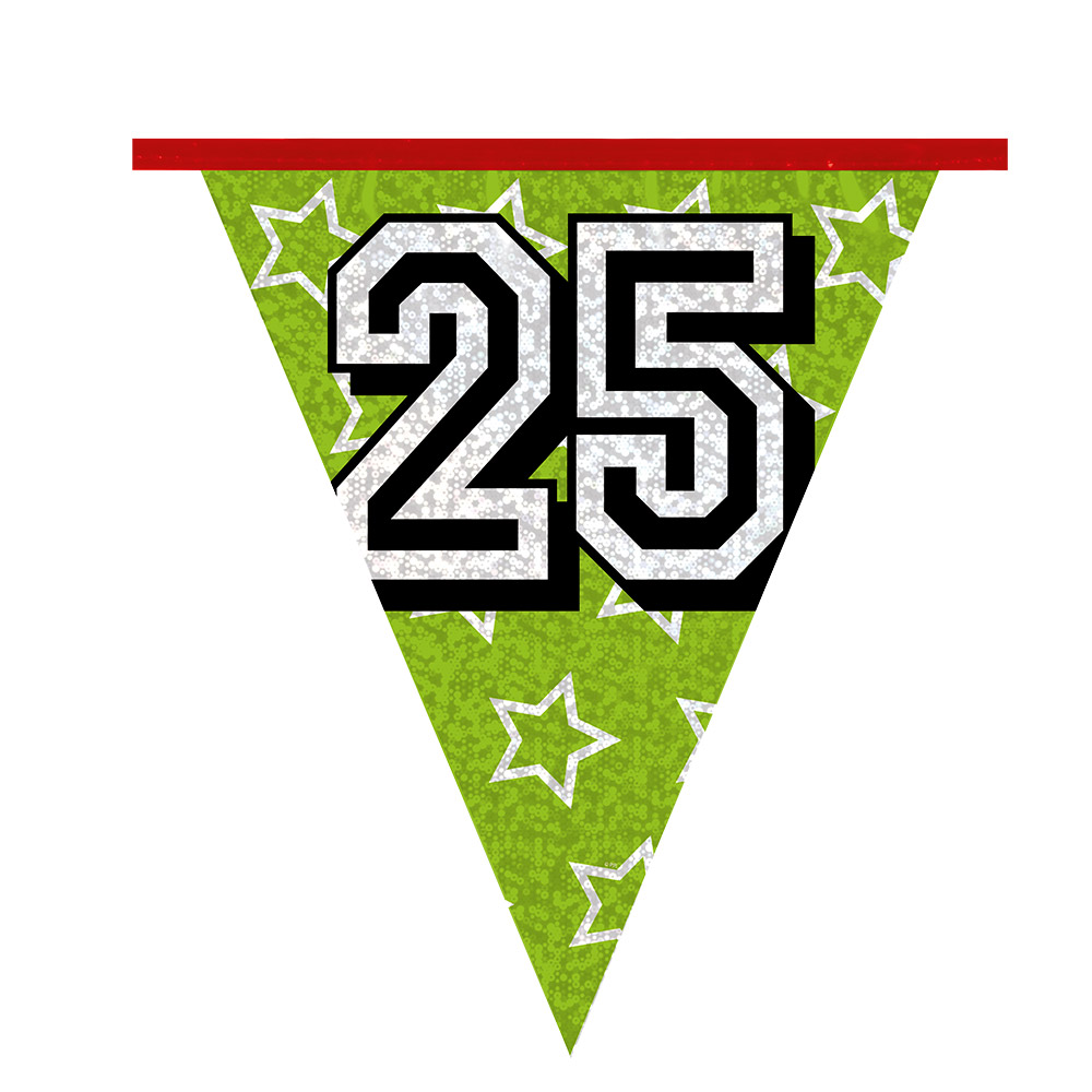 Holografische vlaggenlijn '25' (30 x 20 cm)(8 m)