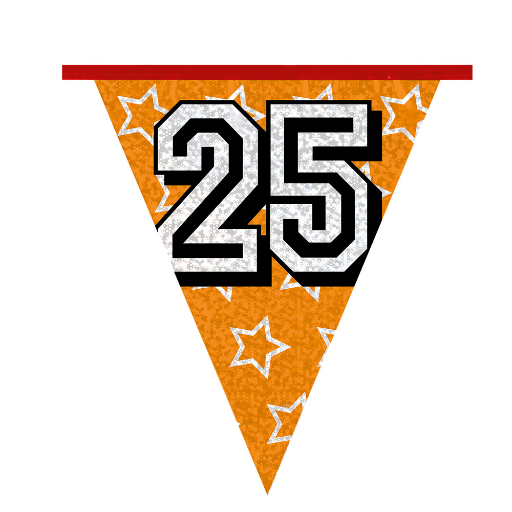 Holografische vlaggenlijn '25' (30 x 20 cm)(8 m)