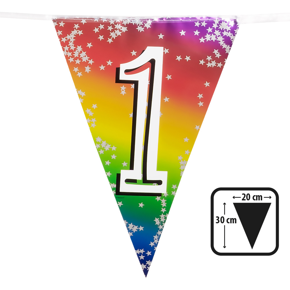 Folievlaggenlijn Rainbow '1' (30 x 20 cm, 6 m)