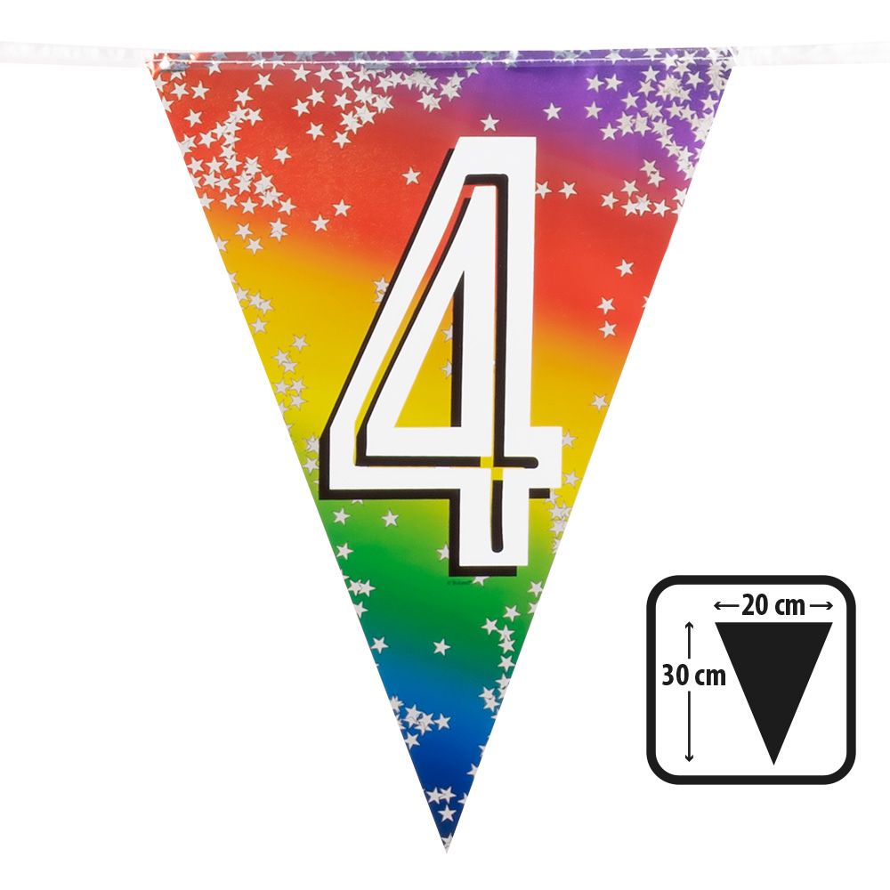 Folievlaggenlijn Rainbow '4' (30 x 20 cm, 6 m)