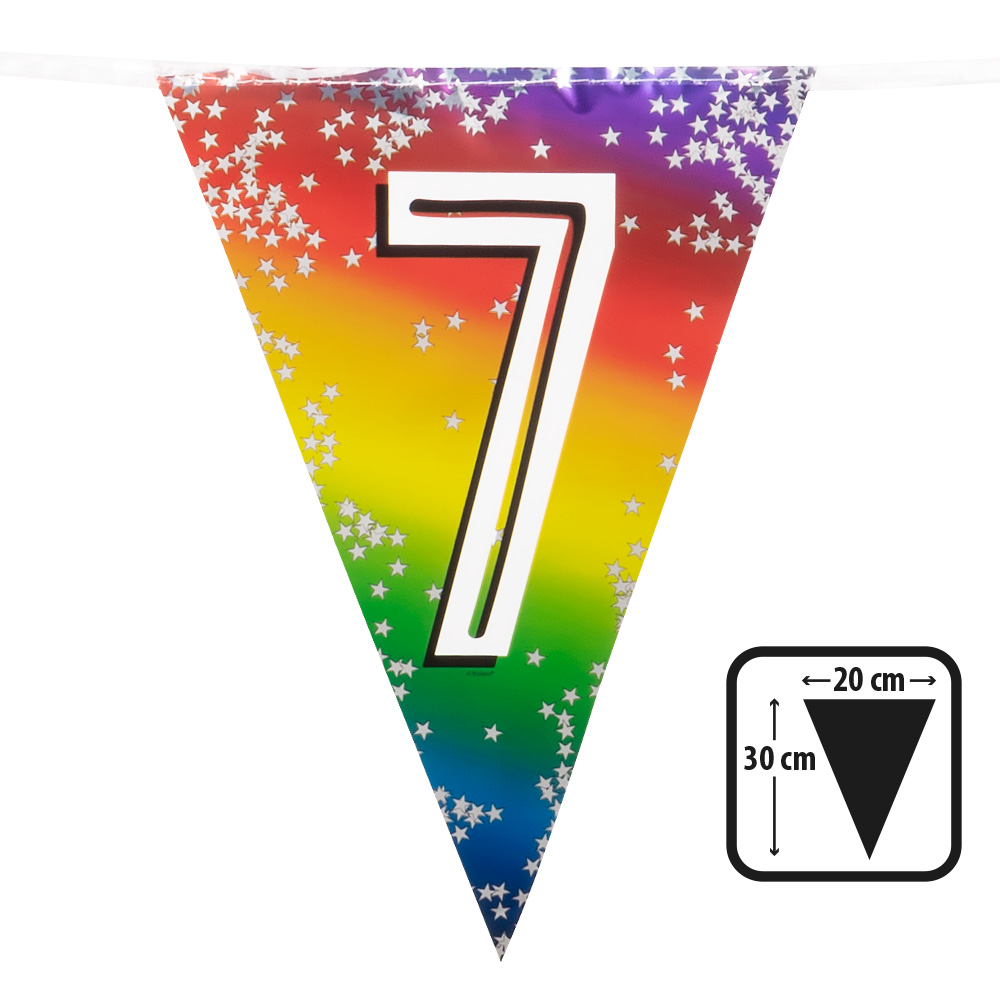 Folievlaggenlijn Rainbow '7' (30 x 20 cm, 6 m)