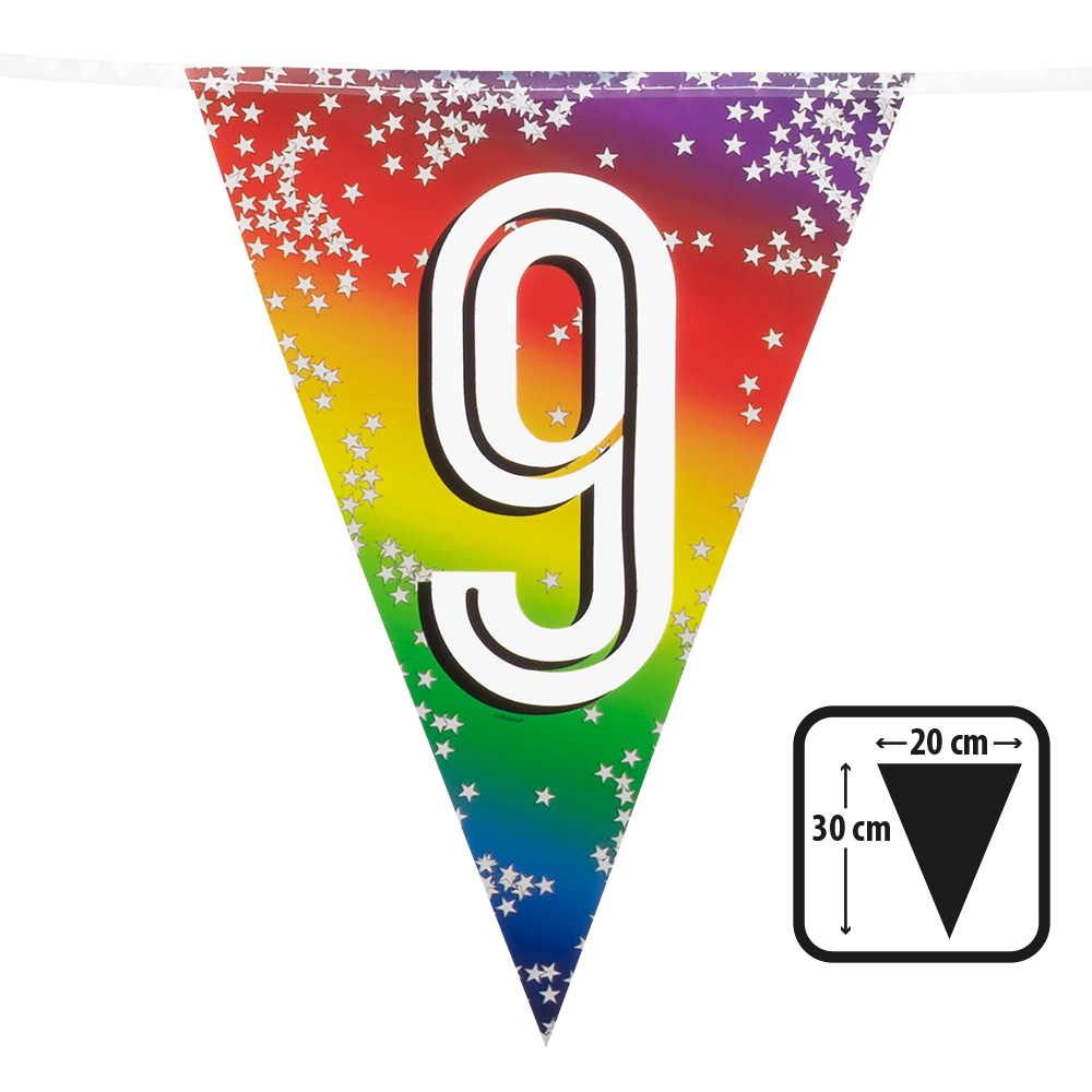Folievlaggenlijn Rainbow '9' (30 x 20 cm, 6 m)