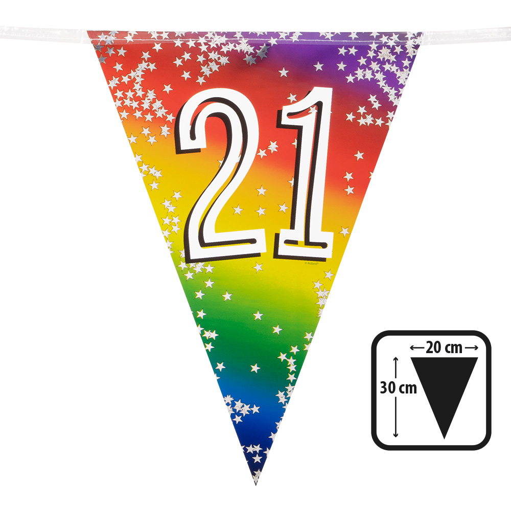Folievlaggenlijn Rainbow '21' (30 x 20 cm, 6 m)