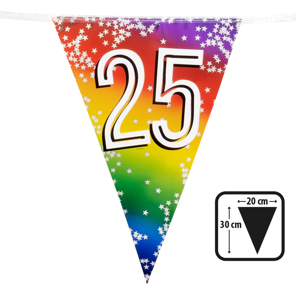 Folievlaggenlijn Rainbow '25' (30 x 20 cm, 6 m)