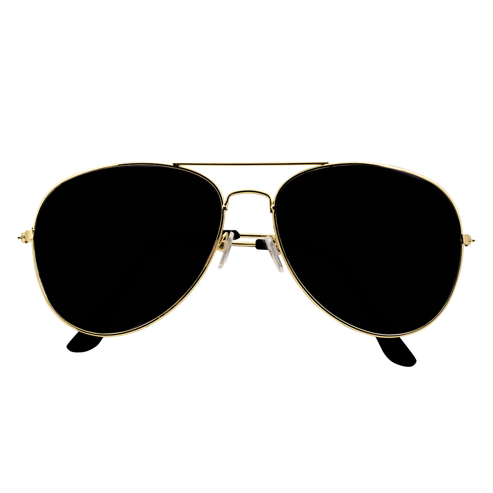 Set Piloot (partybril, badge en schouderstukken)