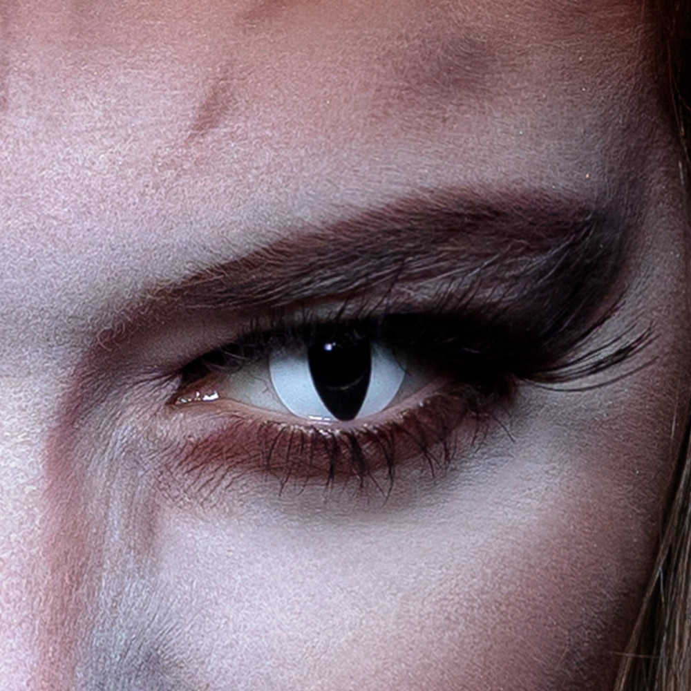 Paar 3-maandslenzen Kat