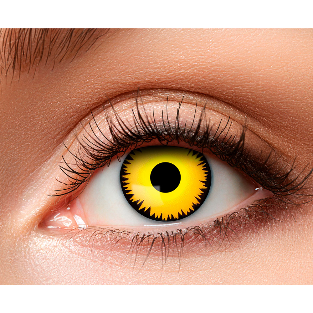 Paar 3-maandslenzen Dinosaurus