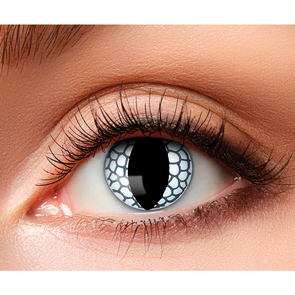 Paar weeklenzen Dragon