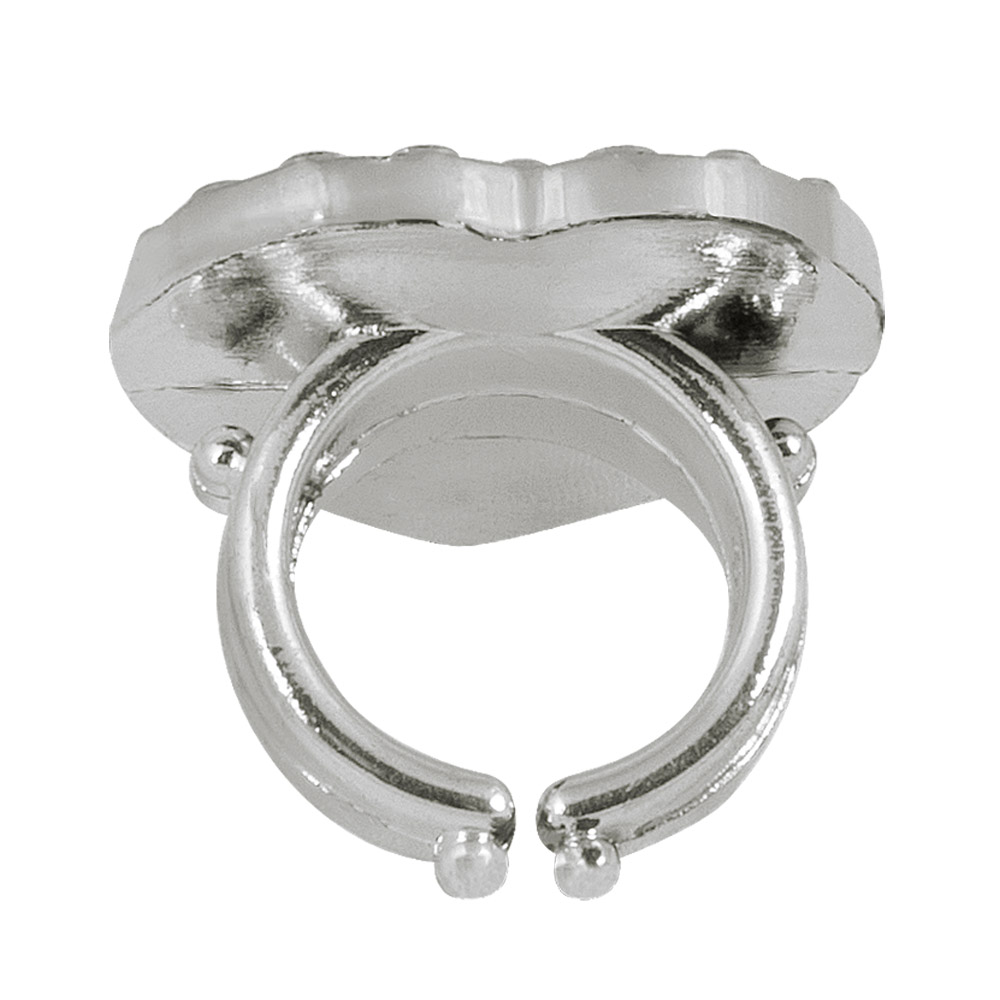 Set Prinses (haaraccessoire, 2 oorbellen, ring en toverstafje 21,5 cm)
