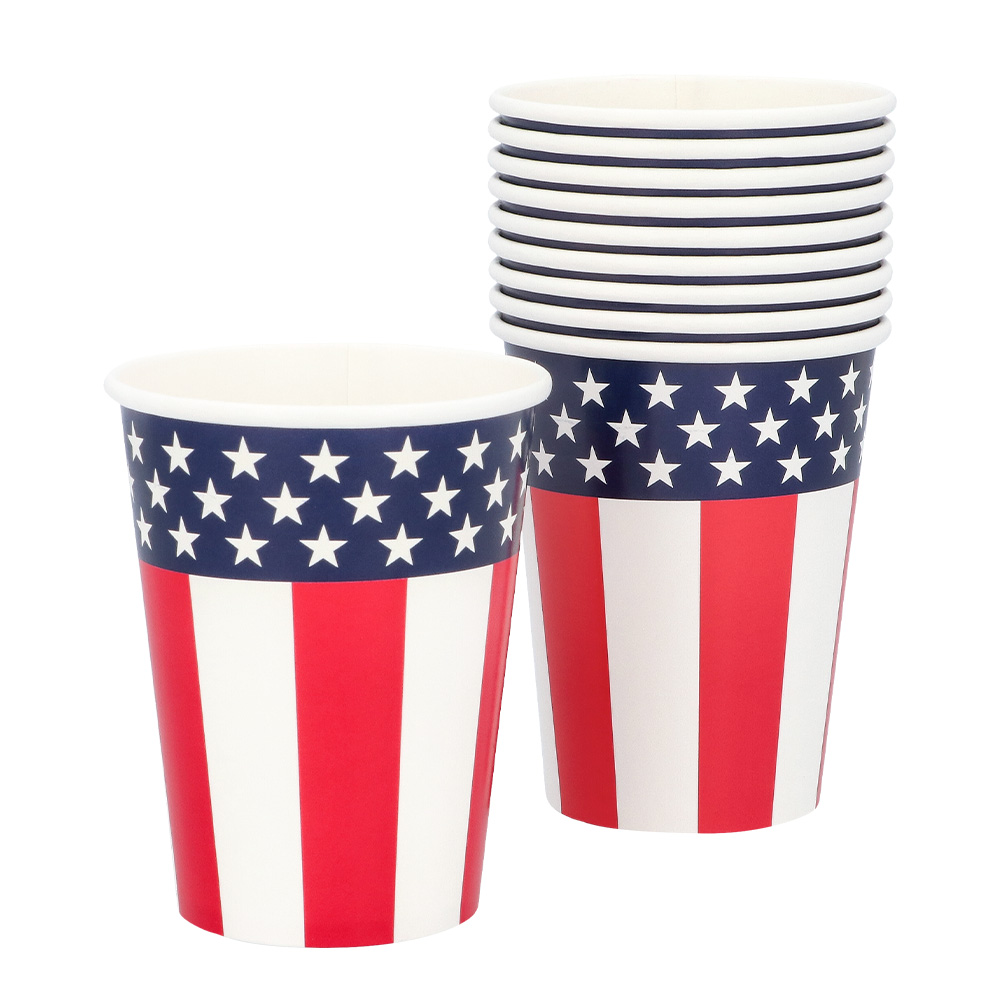 Set 10 papieren bekertjes USA (25 cl)