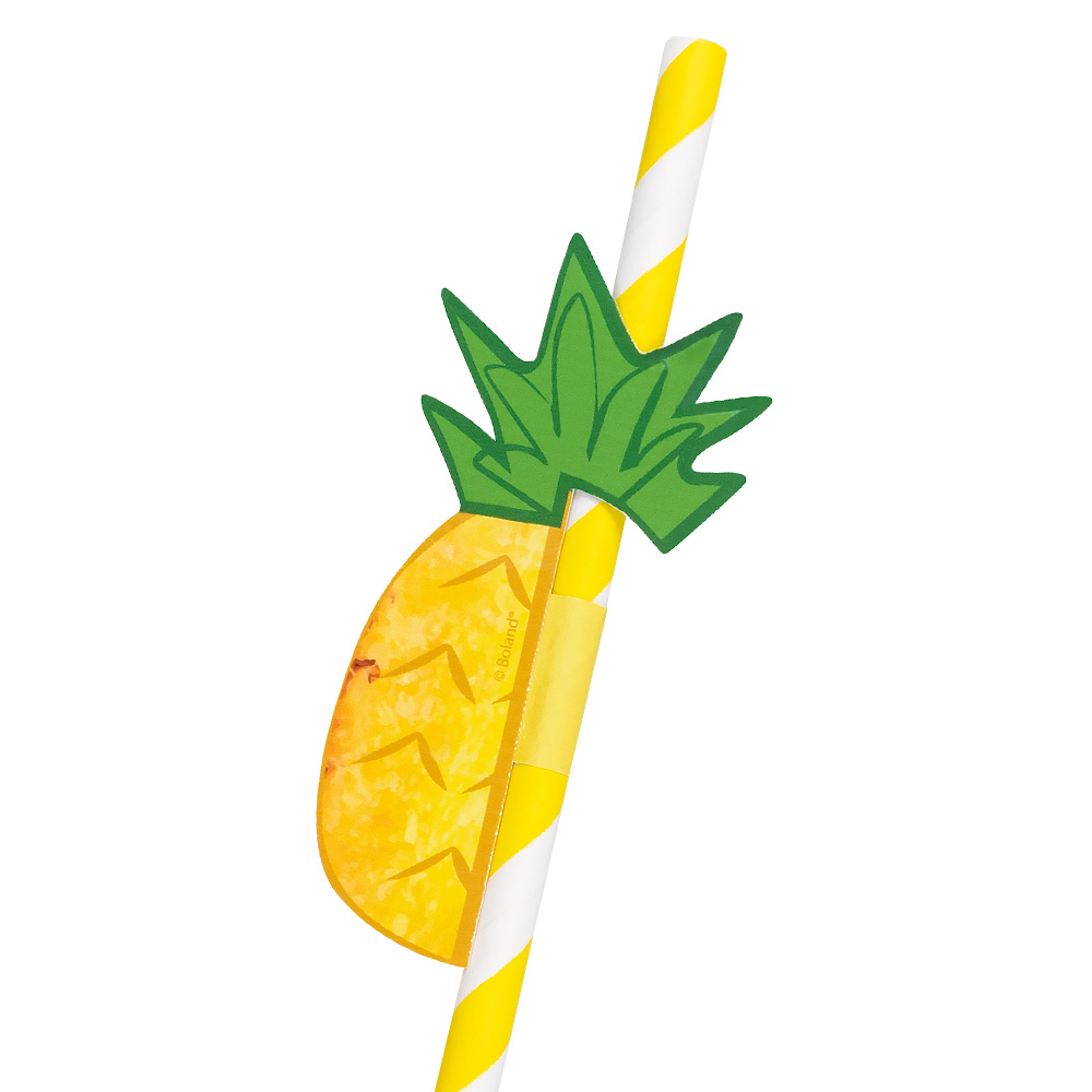 Set 6 papieren rietjes Fruit 2 designs (20 cm)