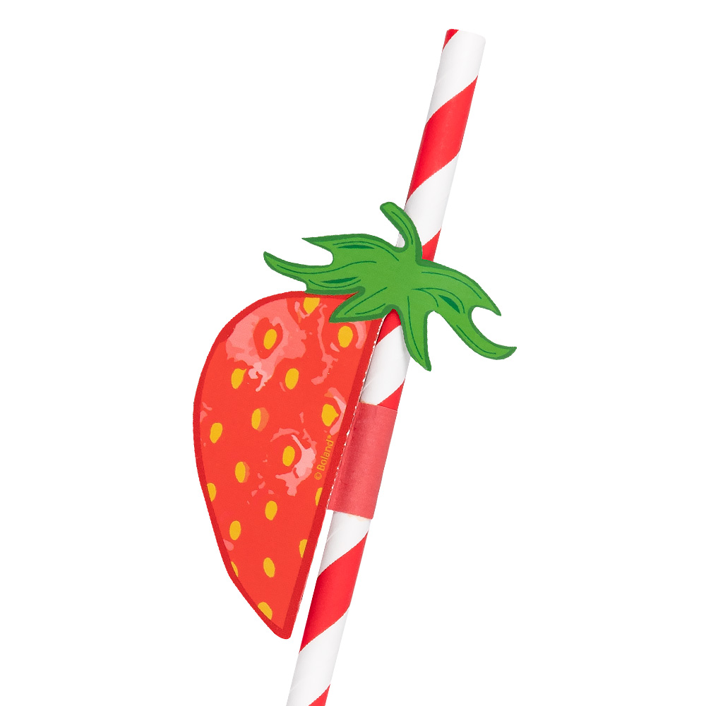 Set 6 papieren rietjes Fruit 2 designs (20 cm)