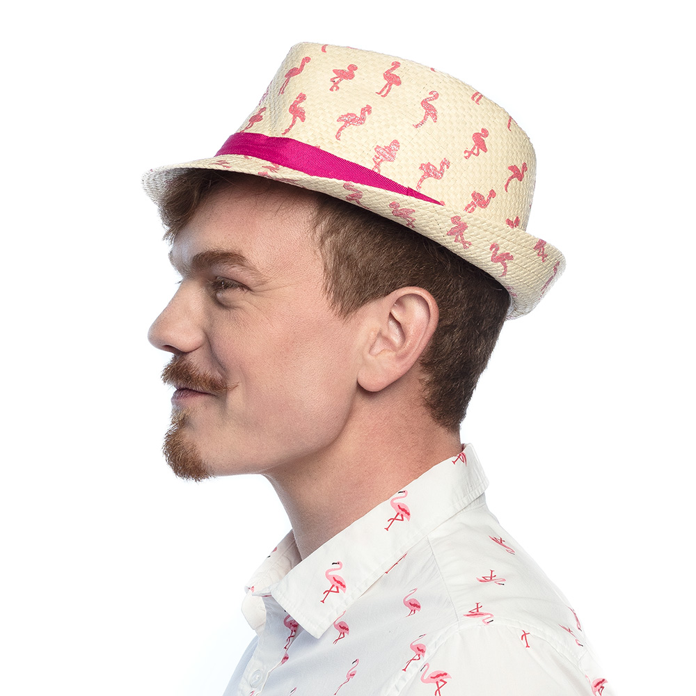 Hoed Sparkling flamingos