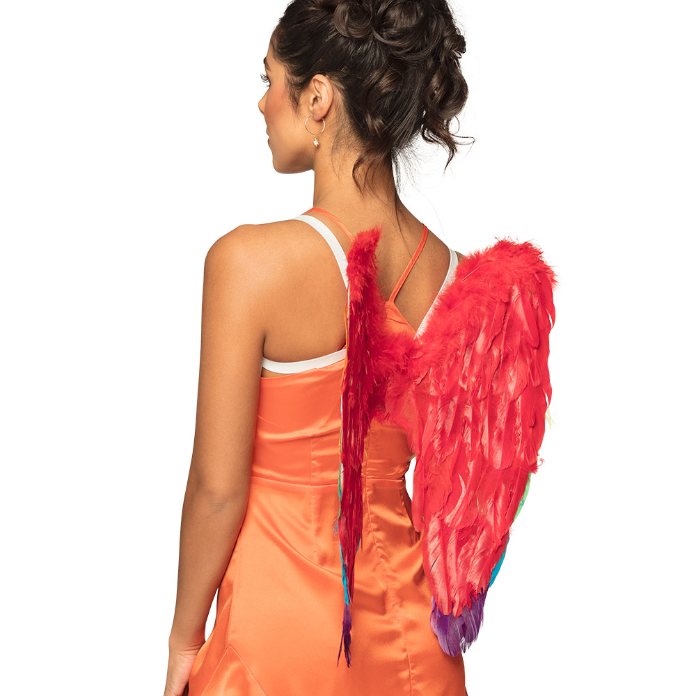 Engelenvleugels Divine regenboog (50 x 50 cm)