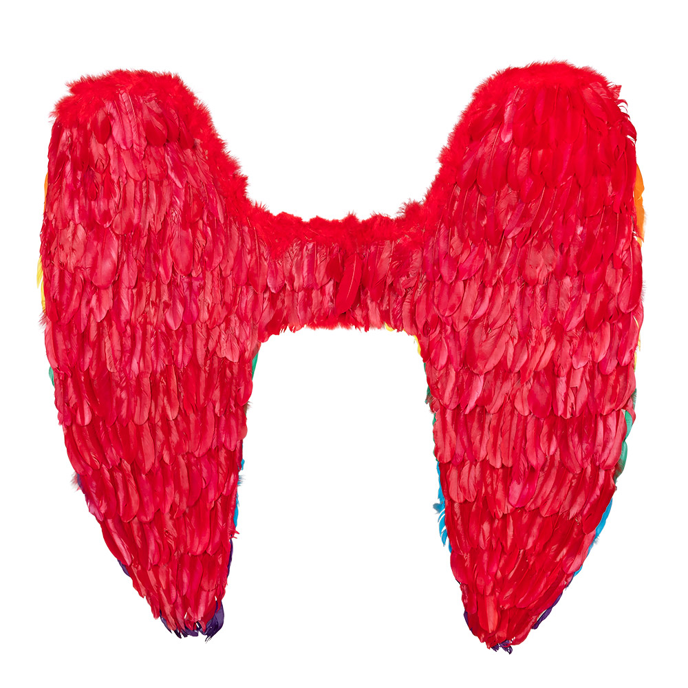 Engelenvleugels Celina regenboog (120 x 120 cm)