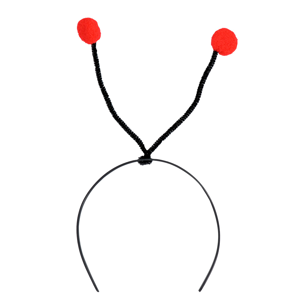 Set Lieveheersbeestje kind (diadeem en vleugels)