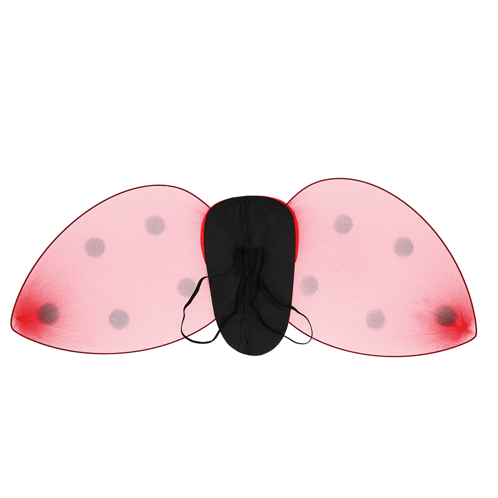 Set Lieveheersbeestje kind (diadeem en vleugels)