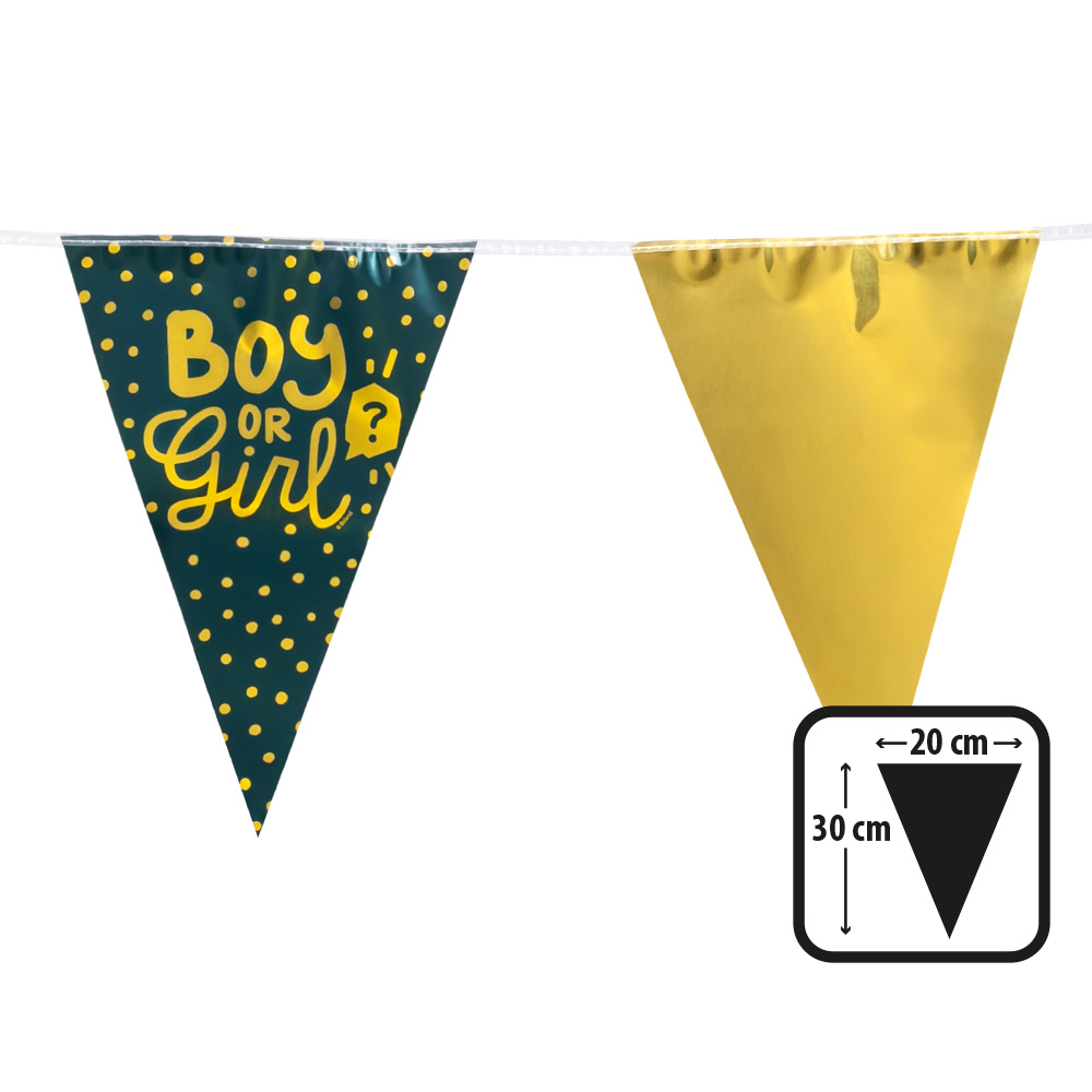 PE vlaggenlijn 'Boy or girl' (30 x 20 cm, 6 m)
